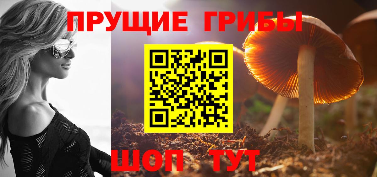 Галлюциногенные грибы прущие грибы Зеленогорск